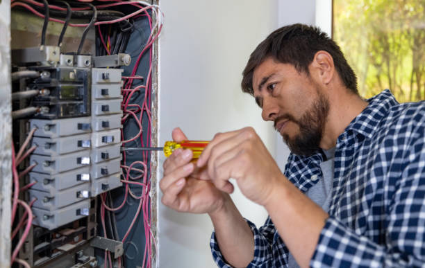 Best Ceiling Fan Installation Electrician  in Thompson, ND